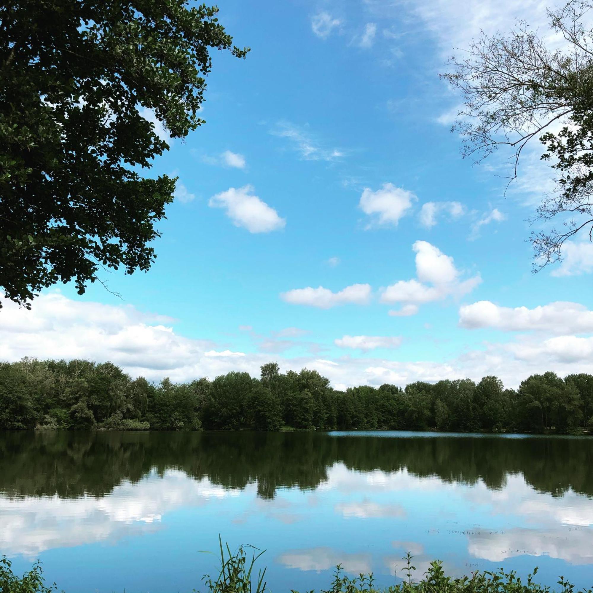 Gite De La Cote A Autreville Sur Moselle Dış mekan fotoğraf